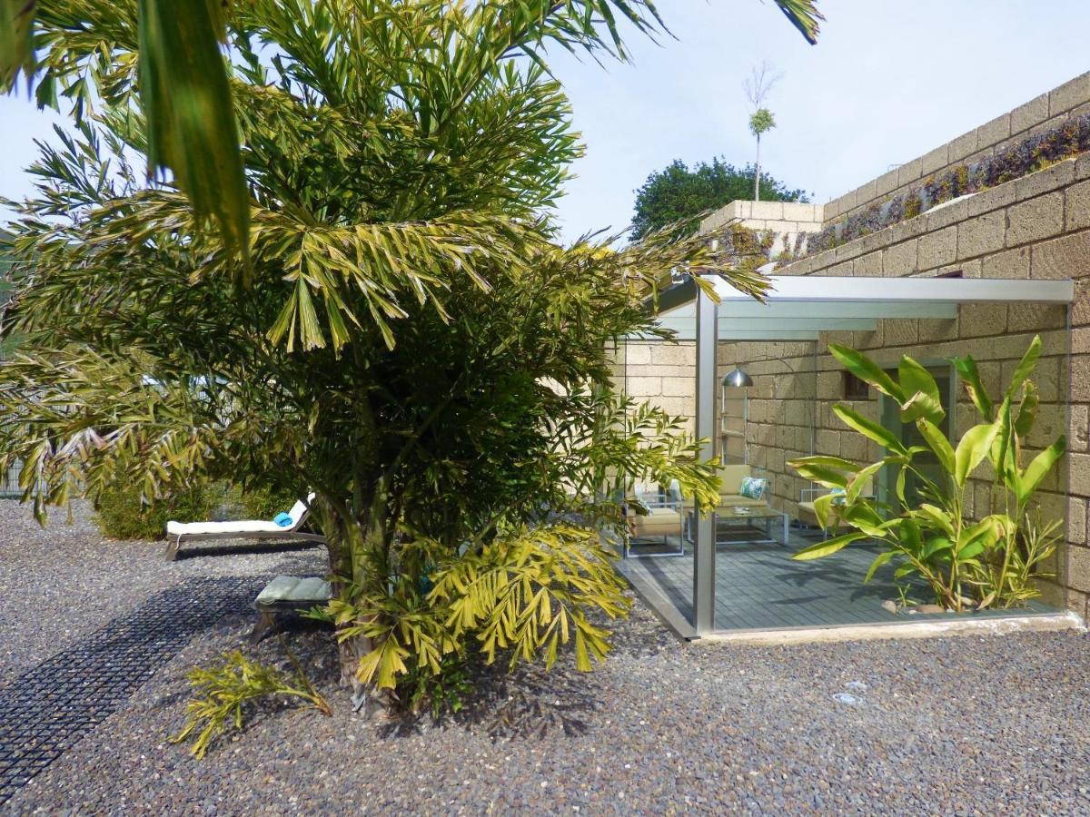 Eco Suites Caves La Laguna  Exteriör bild